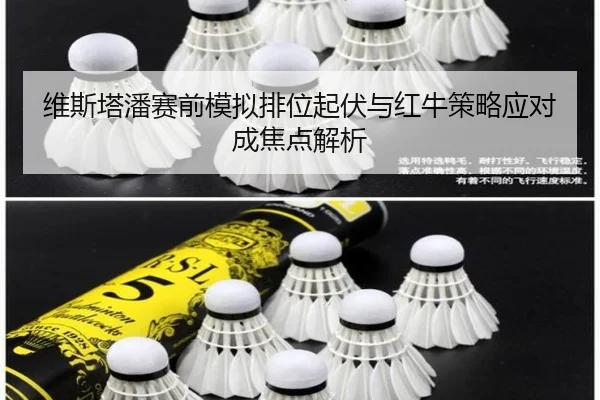 维斯塔潘赛前模拟排位起伏与红牛策略应对成焦点解析