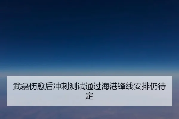 武磊伤愈后冲刺测试通过海港锋线安排仍待定